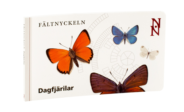 Fältnyckeln Dagfjärilar