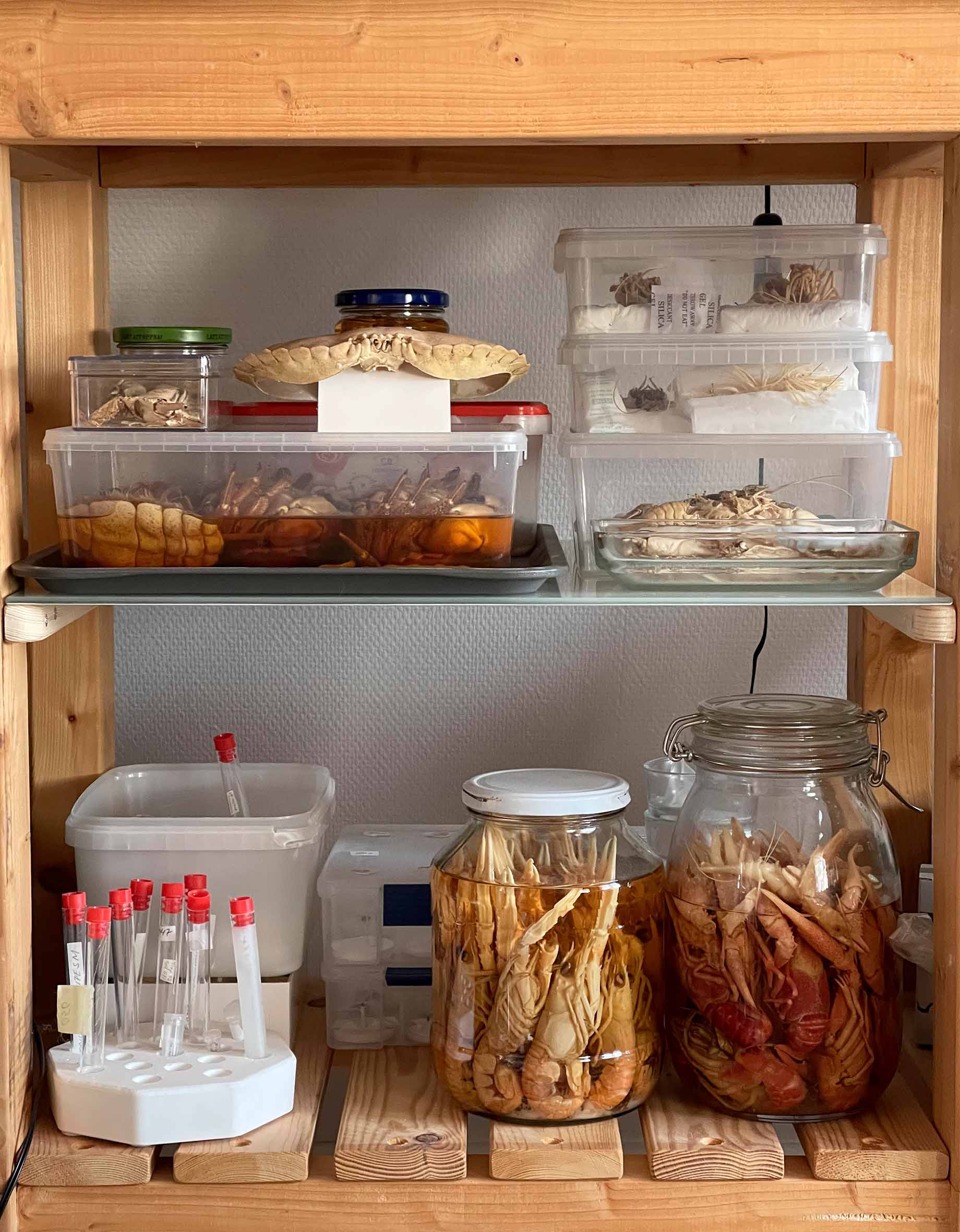 En hylla med glasburkar och provrör